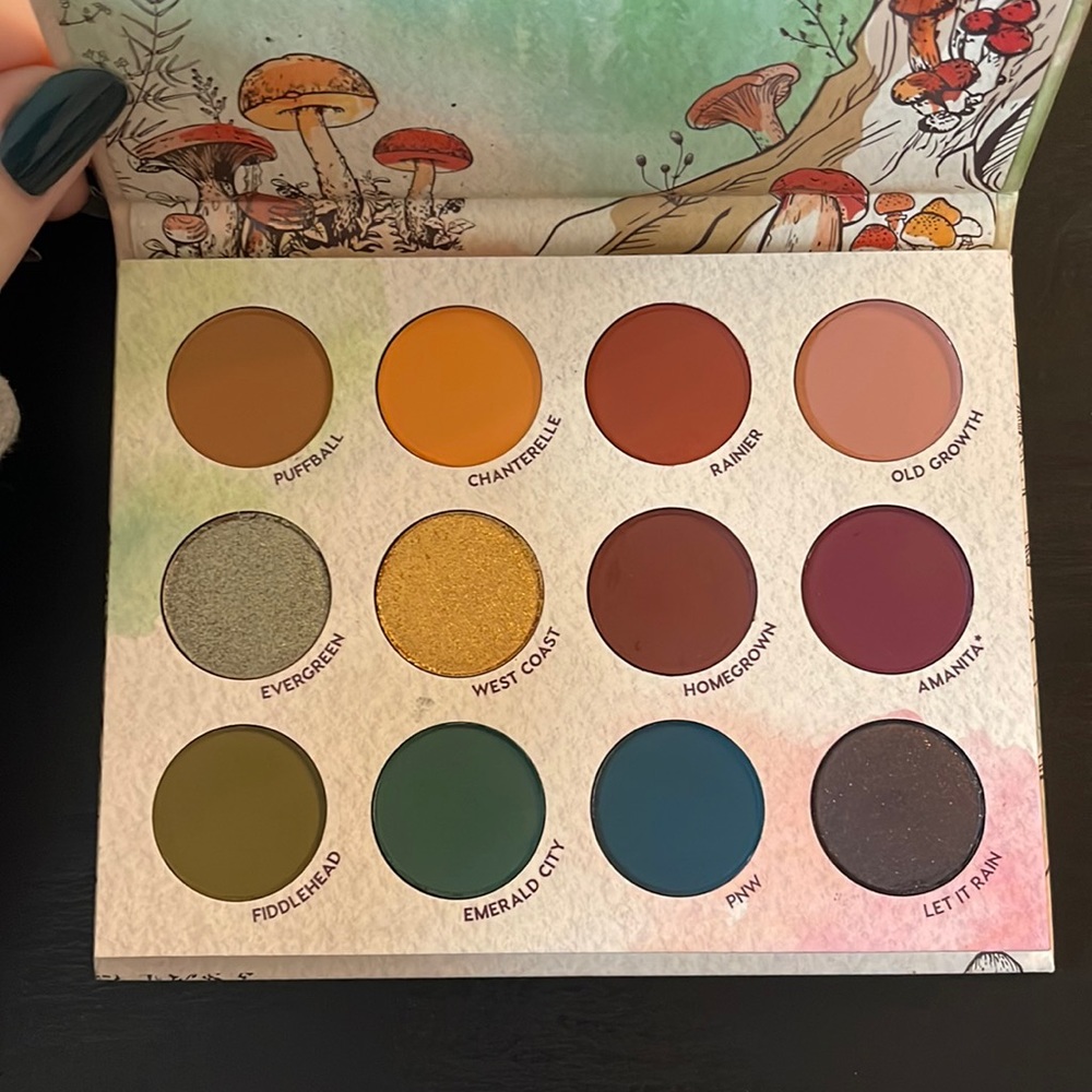 Colourpop x RawBeautyKristi At Forest Sight Palette